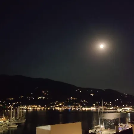 The Magnolia Case de vacanță *