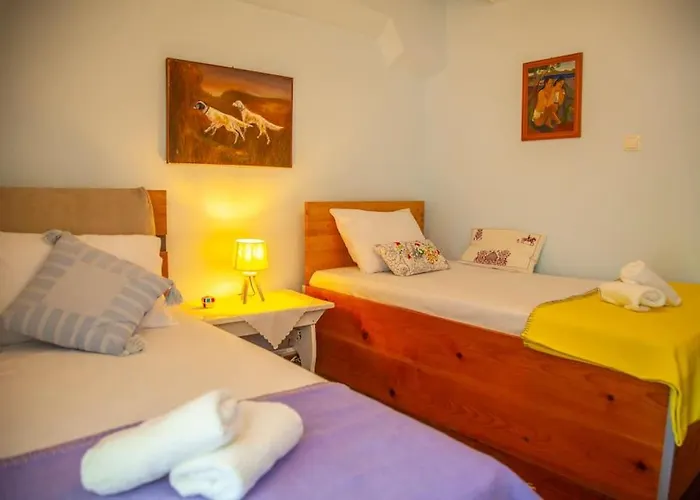 The Magnolia Vakantiehuis *